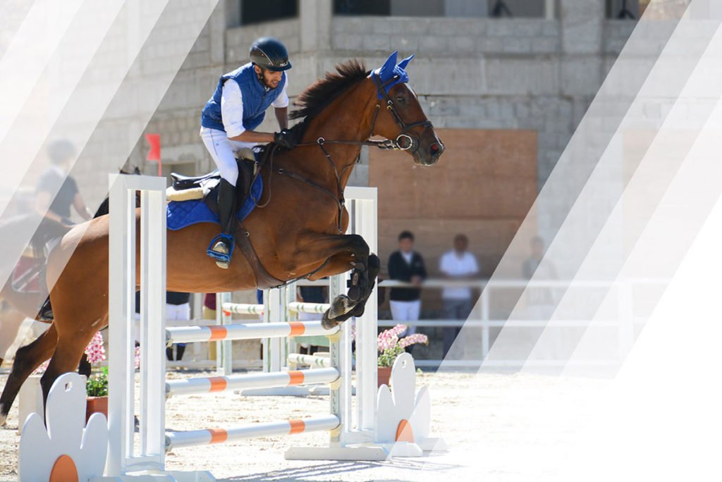 Horse Jumps For Sale ⋆ Horse sports show jumps