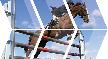 horse jumping over a jump banner
