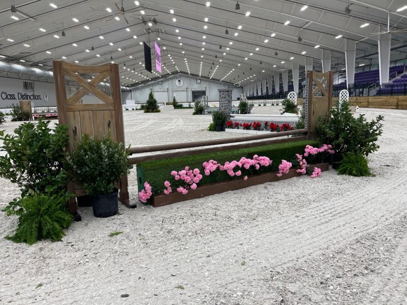 Getjumps x WEC Ocala See our hunter jumps in action ⋆