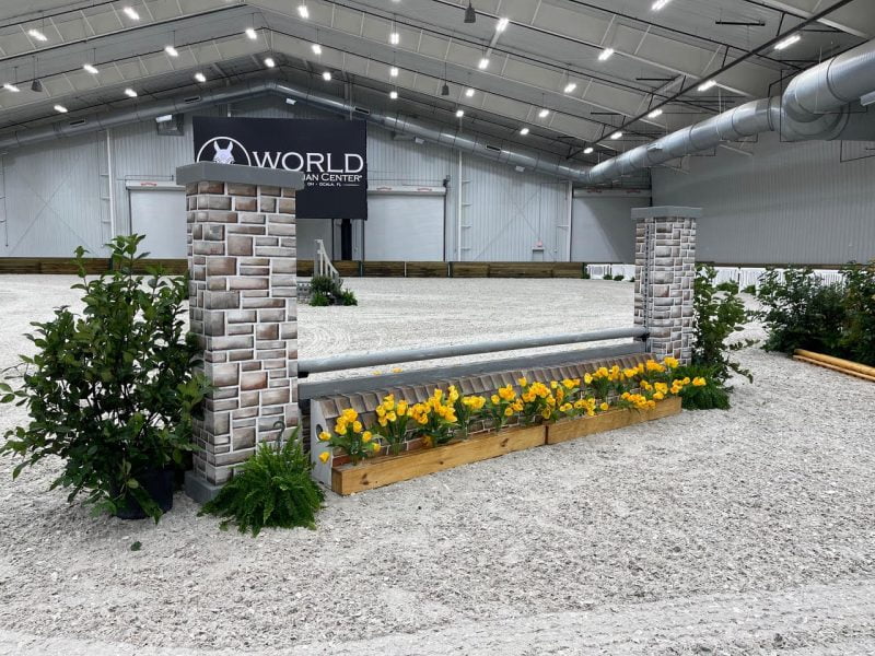 Getjumps x WEC Ocala See our hunter jumps in action ⋆