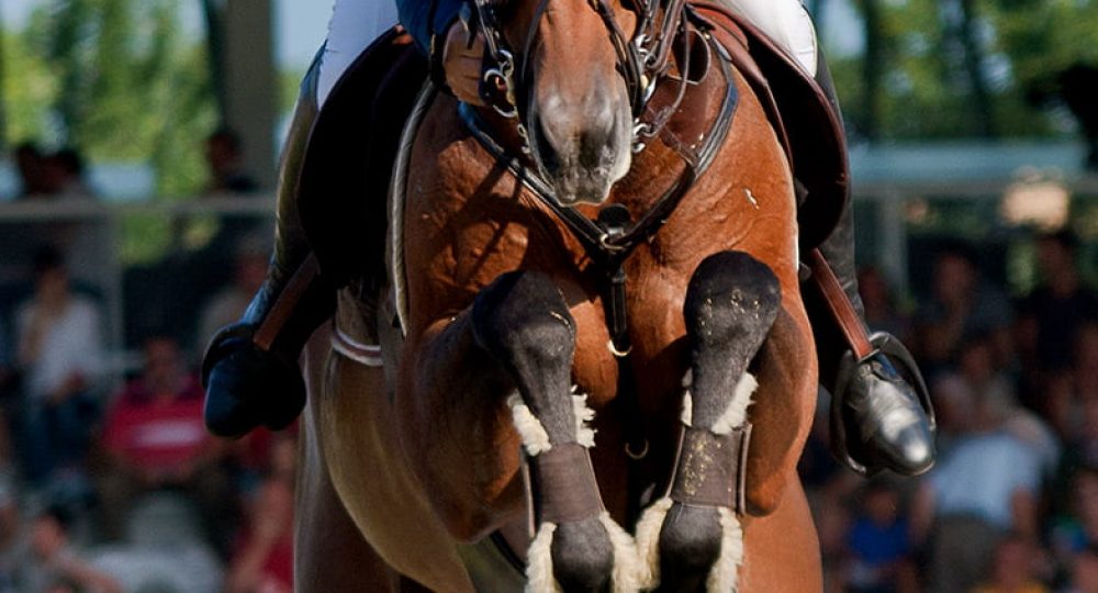 horse jumping over an aluminum horse show jump facing straight